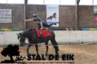 staldeeikimg_69002_small.jpg