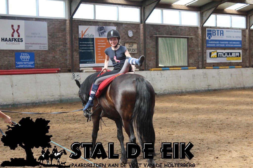 staldeeikimg_69022.jpg