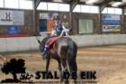 staldeeikimg_69022_small.jpg