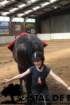 staldeeikimg_69082_small.jpg