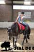 staldeeikimg_69092_small.jpg