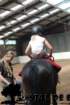 staldeeikimg_69192_small.jpg