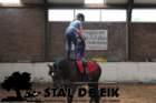 staldeeikimg_69312_small.jpg