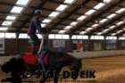 staldeeikimg_69332_small.jpg
