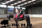 staldeeikimg_69352_small.jpg
