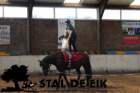 staldeeikimg_69372_small.jpg