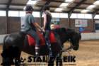 staldeeikimg_69392_small.jpg