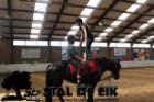 staldeeikimg_6940_small.jpg