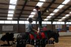 staldeeikimg_6941_small.jpg
