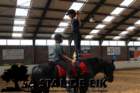 staldeeikimg_69422_small.jpg