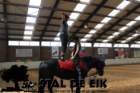 staldeeikimg_69442_small.jpg