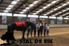 staldeeikimg_69462_small.jpg