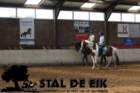 staldeeikimg_69472_small.jpg