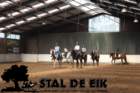 staldeeikimg_69492_small.jpg