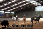 staldeeikimg_69502_small.jpg