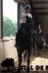 staldeeikimg_69522_small.jpg
