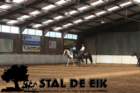 staldeeikimg_69572_small.jpg