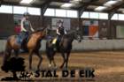 staldeeikimg_69602_small.jpg