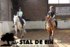 staldeeikimg_69612_small.jpg