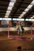 img_7247stal_de_eik_1_small.jpg