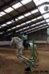 img_7251stal_de_eik_1_small.jpg
