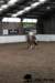 img_7727stal_de_eik_small.jpg