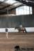 img_7728stal_de_eik_small.jpg