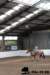 img_7729stal_de_eik_small.jpg