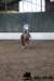 img_7742stal_de_eik_small.jpg