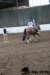 img_7749stal_de_eik_small.jpg