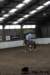img_7752stal_de_eik_small.jpg