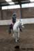 img_7753stal_de_eik_small.jpg
