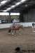 img_7755stal_de_eik_small.jpg