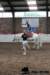 img_7786stal_de_eik_small.jpg