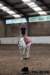 img_7788stal_de_eik_small.jpg