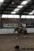 img_7792stal_de_eik_small.jpg