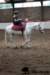 img_7794stal_de_eik_small.jpg