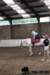 img_7798stal_de_eik_small.jpg