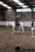 img_7801stal_de_eik_small.jpg