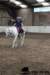 img_7802stal_de_eik_small.jpg