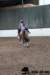 img_7804stal_de_eik_small.jpg
