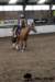 img_7808stal_de_eik_small.jpg