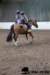 img_7810stal_de_eik_small.jpg