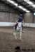img_7813stal_de_eik_small.jpg