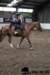 img_7815stal_de_eik_small.jpg