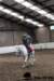 img_7816stal_de_eik_small.jpg