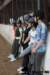 img_7817stal_de_eik_small.jpg