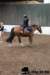 img_7826stal_de_eik_small.jpg