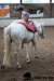 img_7830stal_de_eik_small.jpg