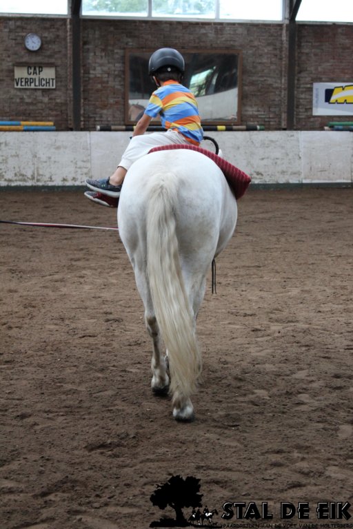 img_7831stal_de_eik.jpg